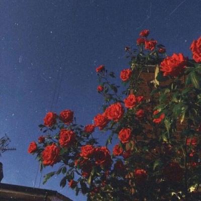 万博全站官网app最新版下载截图